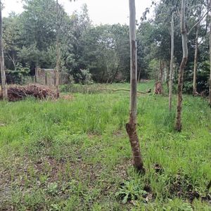 Terreno En Venta De 540m2 Ubicado En Sauce De Portezuelo