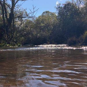 Campo En Venta De 3ha Ubicado Sobre Ruta 39 Km 61500