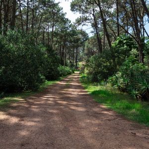 Terreno En Venta De 1746m2 Ubicado En Laguna Del Sauce