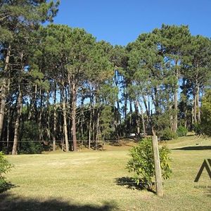 Casa En Venta C/ Cochera En Pinares