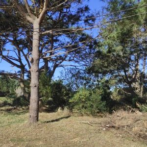 Terreno En Venta De 592m2 Ubicado En Punta Del Diablo