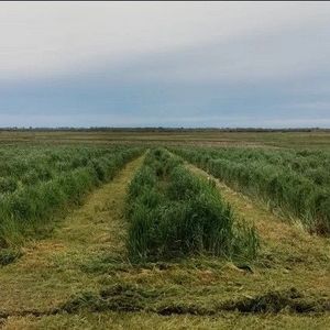 Campo En Venta De 156m2 Ubicado En San Ramón