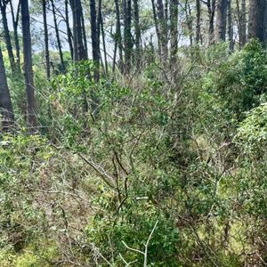 Terreno En Venta De 1303m2 Ubicado En Laguna Del Sauce
