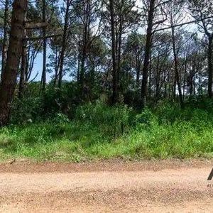 Terreno En Venta De 1007m2 Ubicado En Laguna Del Sauce
