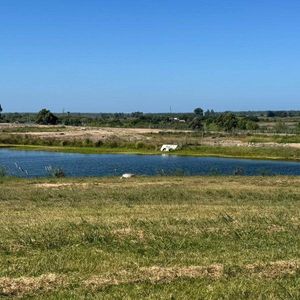 Terreno En Venta De 1000m2 Ubicado En Cavas De La Tahona