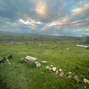 Chacra En Venta De 5 Hectáreas Ubicado En Pan De Azúcar