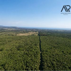 Chacra En Venta De 3m2 Ubicado En Piriápolis