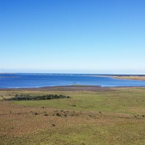 Chacra Laguna De José Ignacio, 26.5 Ha/13 Ha Maldonado/uruguay.