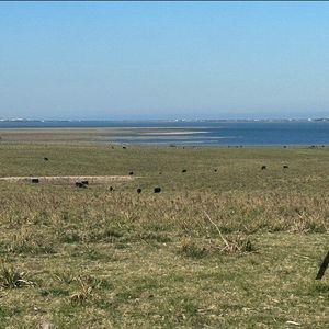 Chacra De 26 Ha Laguna De José Ignacio, Maldonado/uruguay.