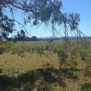 Venta Chacra Sobre Ruta 9