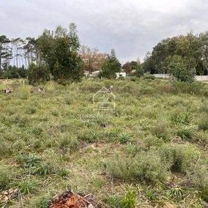 Venta Terreno Punta Del Este