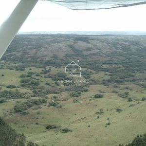 Venta Campo Ganadero Forestal Rocha