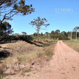 Se Vende Terreno En La Viuda Punta Del Diablo