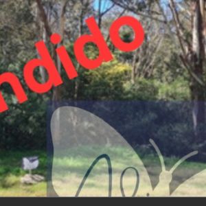 Vendido-terreno Sobre Calle Que Bordea El Arroyo