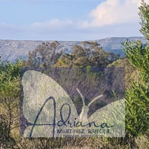 Terrenos Excepcionales -zona Residencial En Expansión