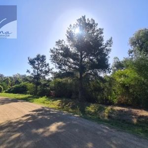 Oportunidad-terrenos De Gran Superficie En Balneario Solís Sur