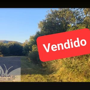 Vendido-hermoso Terreno En Solís-muy Alto-arbolado Y C/vista A La Sierra