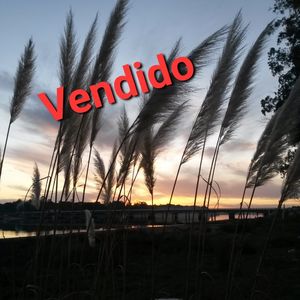 Terreno Con Salida Directa Al Arroyo (vendido)