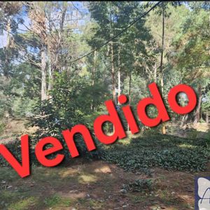 Oportunidad!!gran Terreno En Venta  Ubicado En Laguna Del Sauce