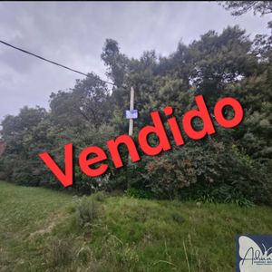 Excelente Esquina Muy Arbolada En Solís Norte