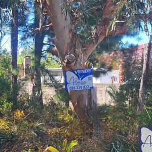 Excelente Terreno En Piriápolis-2 Cuadras De La Playa-los ángeles