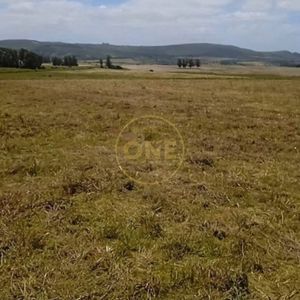 Venta De Terreno En San Carlos