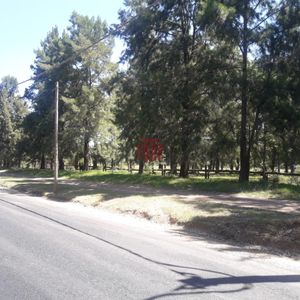 Exclusiva Chacra En Punta Ballena: Oportunidad única Para Desarrollo De Lujo Y Estilo De Vida.