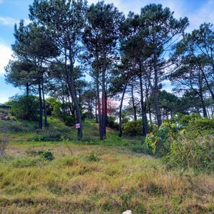 Terreno En Venta, Punta Del Este Rincon Del Indio Uruguay