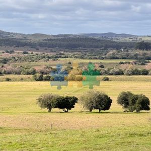 Campo 57 Has - Agricola Ganadero Cerca De Minas! Muy Bueno! - Ref : Eqp6559