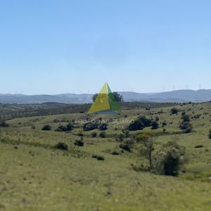 Chacras Con Vistas únicas, Olivos, Sierras Y Descanso... !! Atención Precio Rebajado !! - Ref : Eqp7387