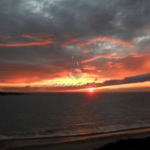 Apartamento En Alquiler 1 Dormitorio, Playa Mansa