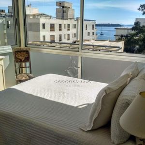 En Alquiler Apartamento En Punta Del Este