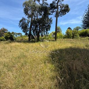 Terreno En Venta El Golf