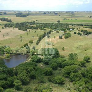 Chacra De Dos Dormitorios Y Casi 5 Hectáreas En San Carlos.