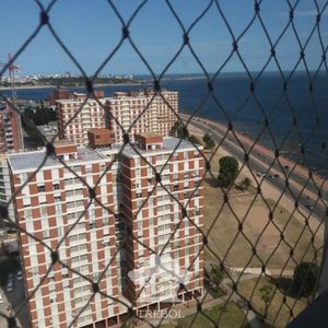 Alquiler Apartamento 2 Dormitorios Barrio Sur Montevideo D