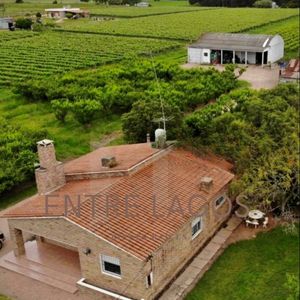 Casa Quinta Los Cerrillos Con Plantaciones Galpón Y Cámaras