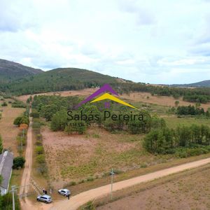 Venta Chacra  7há, Piriápolis, Maldonado