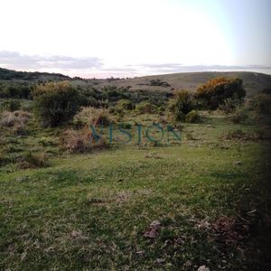 Campo Cerro Aspero Rocha