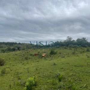 Chacra En Los Cerrillos
