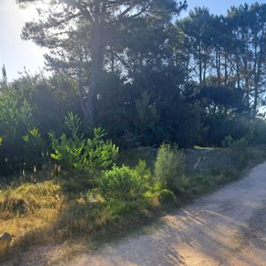 Lote De Terrenos En Punta Del Diablo