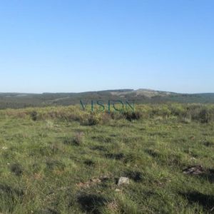 Oportunidad Sierras De Rocha