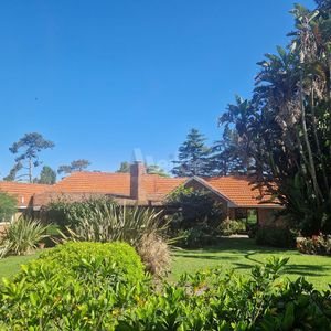 Gran Residencia En La Mejor Zona Del Pinar.