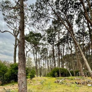 Venta Terreno 2000 M2  En Barrio Privado Reserva Montoya, Excelente Ubicación!