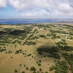 Venta Campo José Ignacio 20 Hectareas