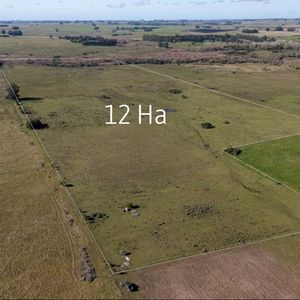 Venta De Chacra De 12 Hectáreas Con Cañada Y Arroyo Natural En San Carlos