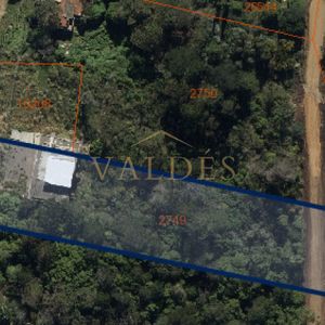Terreno En Venta – Punta Ballena