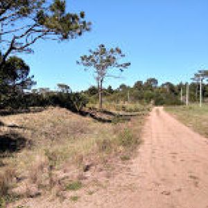 Se Vende Terreno En La Viuda Punta Del Diablo