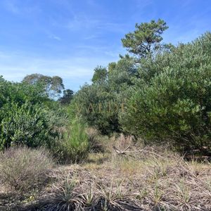 Terreno En La Serena