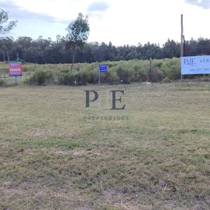 Chacra Sobre Ruta 104 - Manantiales | Proyecto Ideal Para Fraccionamiento En Lotes De 2.000 A 5.000 M2