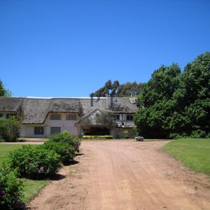Chacra En Venta En Punta Ballena